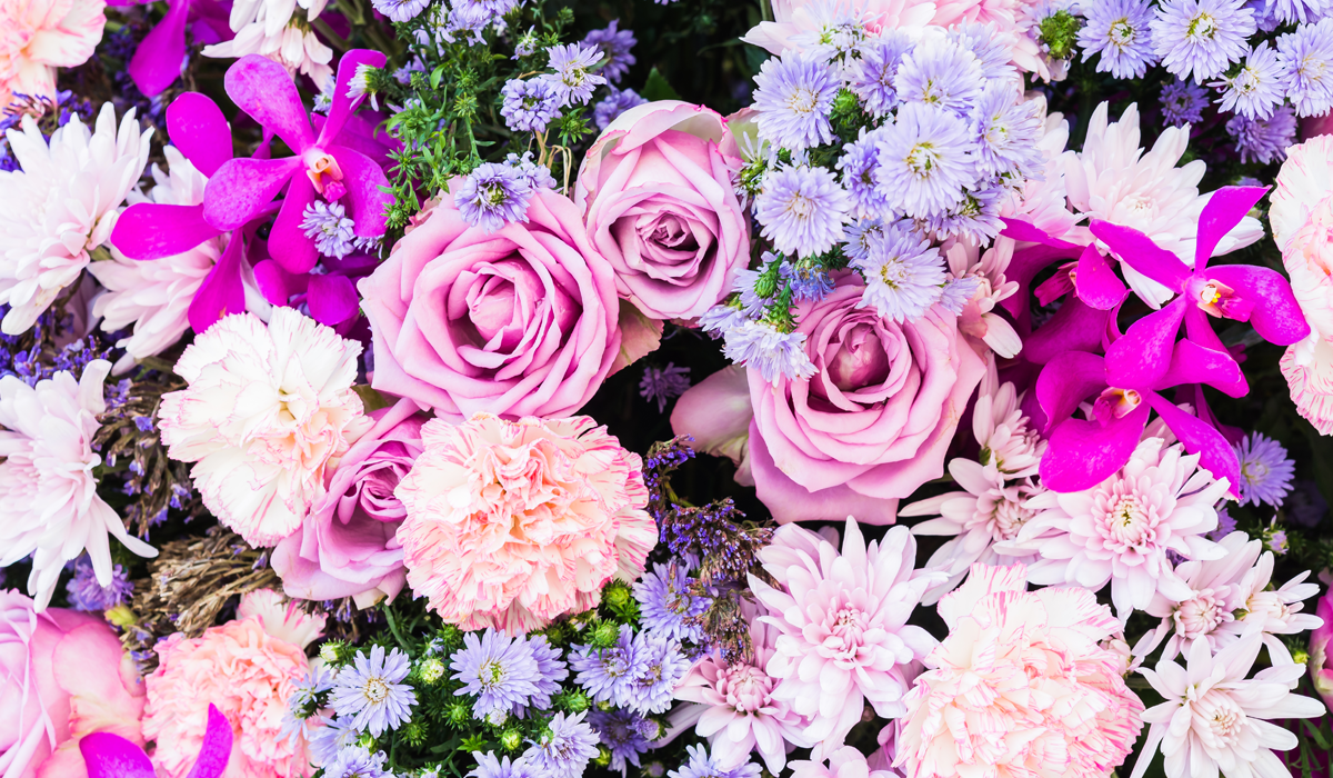 أكثر أنواع الزهور مبيعاً في الإمارات