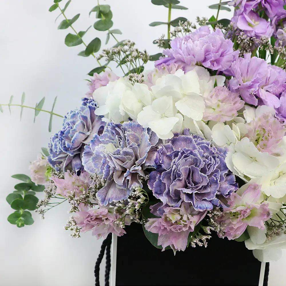 أزهار البنفسج فيوليت