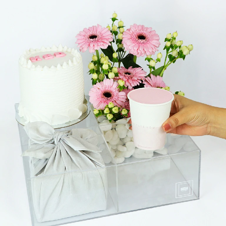 أقحوان الجربيرا