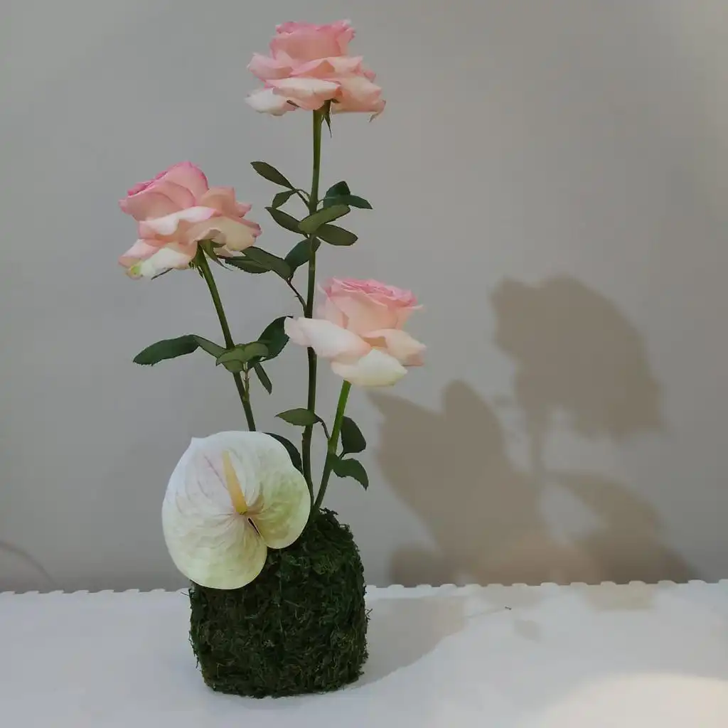 ألوان زهور التعاطف