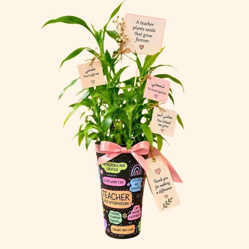 Bamboo plant Teachers day cup with thank you cards